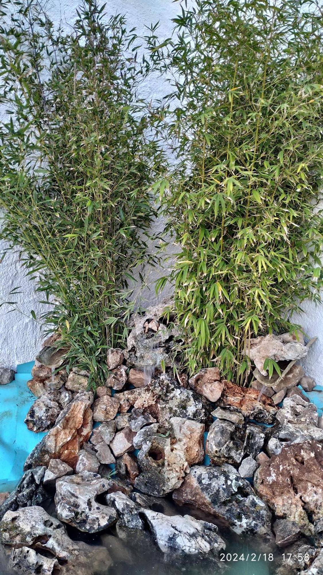 PegalajarCasa Cueva El Olivo别墅 外观 照片